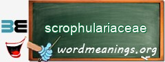 WordMeaning blackboard for scrophulariaceae